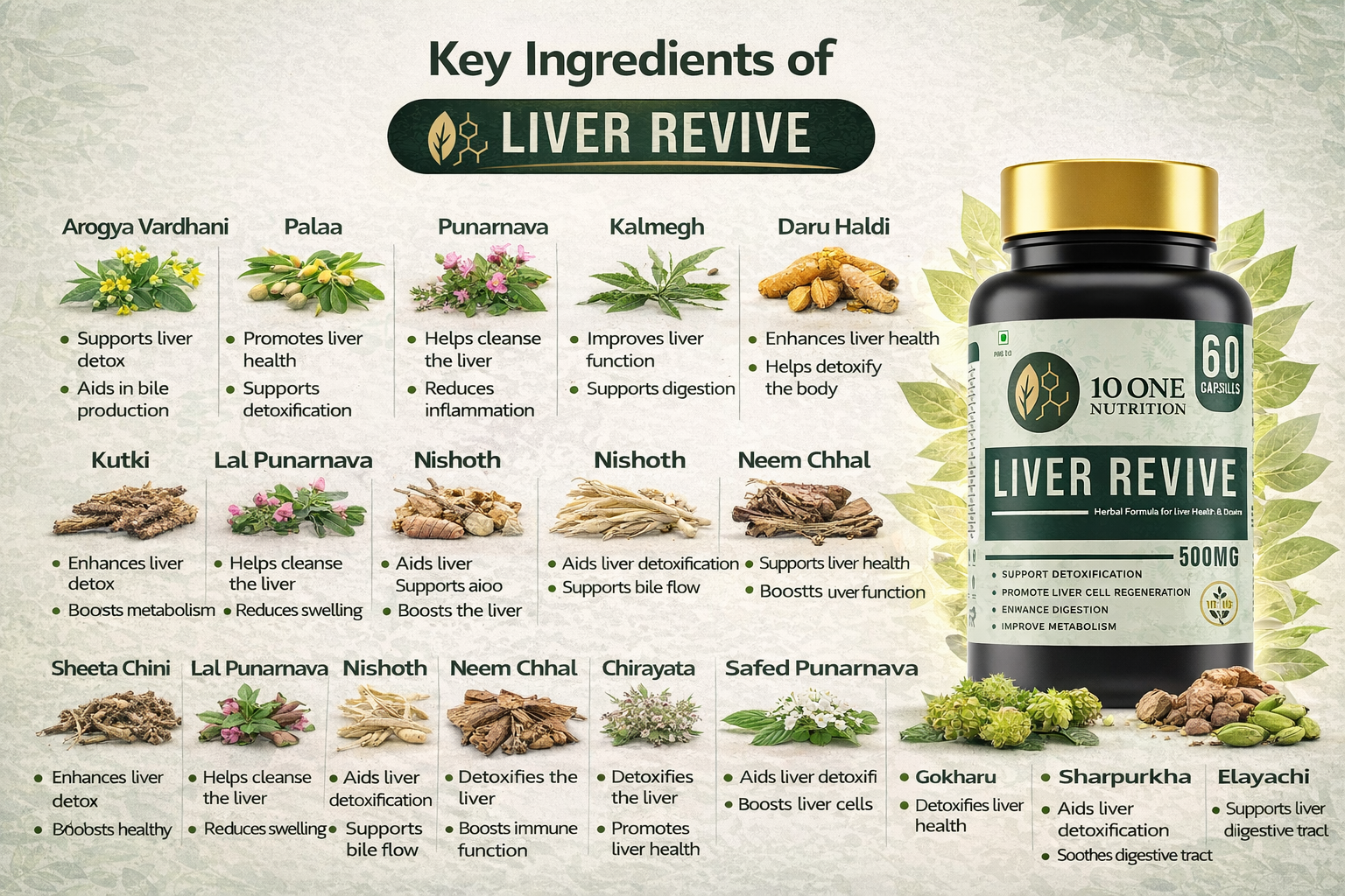 Ayurvedic ingredient for liver detox